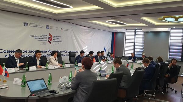 Российско-кыргызская межрегиональная конференция в Джалал-Абаде  - Sputnik Кыргызстан