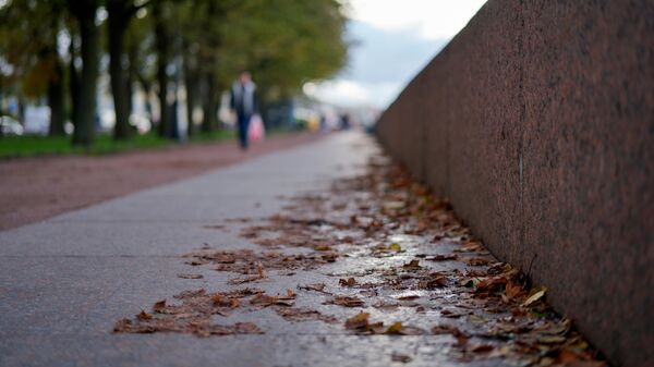 Выпавшая листва на тротуаре. Архивное фото - Sputnik Кыргызстан