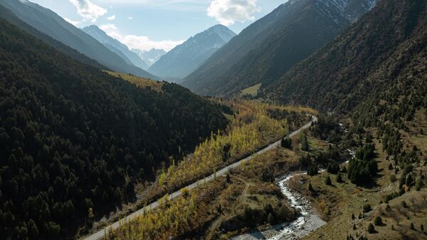 Осень в парке Ала-Арча. Архивное фото - Sputnik Кыргызстан