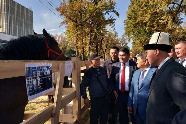Көргөзмөгө министрлер кабинетинин төрагасы Акылбек Жапаров катышкан - Sputnik Кыргызстан