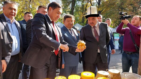 Бишкектин борборунда АгроТехЭкспо-2023 агроөнөр жай көргөзмөсү өтүүдө - Sputnik Кыргызстан