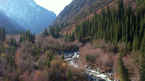 Красоты парка Ала-Арча этой осенью — атмосферное видео - Sputnik Кыргызстан