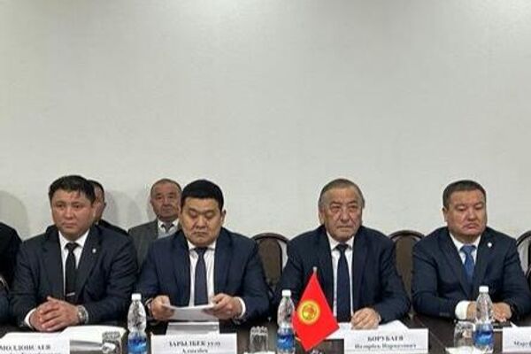 Вопросы описания линии госграницы обсуждались с 22 по 28 октября - Sputnik Кыргызстан
