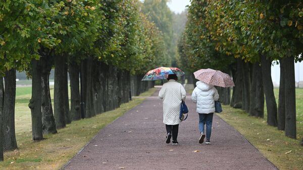 Люди под зонтами гуляют в парке  - Sputnik Кыргызстан