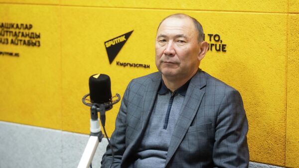 Дипломат, эл аралык мамилелер боюнча эксперт профессор Кубанычбек Чекиров  - Sputnik Кыргызстан