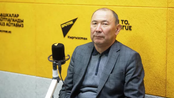 Дипломат, эл аралык мамилелер боюнча эксперт профессор Кубанычбек Чекиров  - Sputnik Кыргызстан