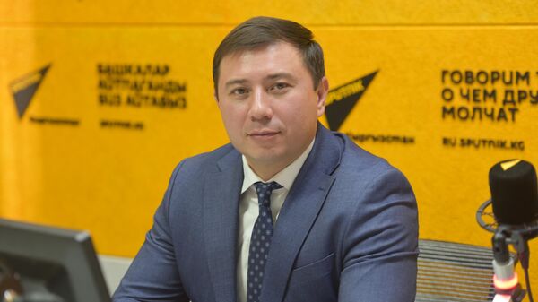 Финансы министринин орун басары Руслан Татиков  - Sputnik Кыргызстан
