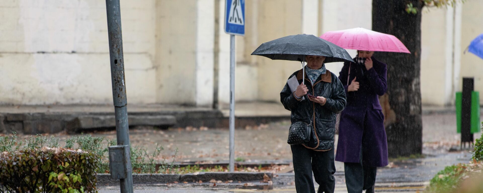 Бишкекте жамгыр учурунда кол чатыр кармаган адамдар басып баратат. Архив - Sputnik Кыргызстан, 1920, 16.10.2025