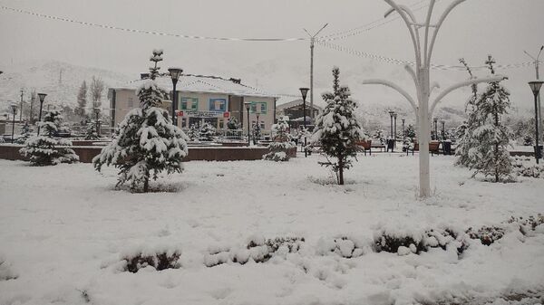 В городе Нарын выпал снег - Sputnik Кыргызстан
