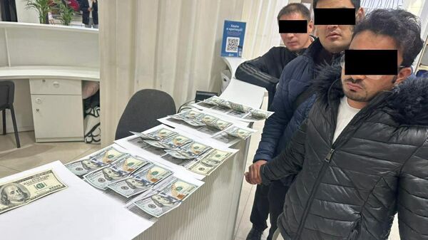 Задержание подозреваемых занимающихся нелегальной переправкой иностранцев через границу КР в РК - Sputnik Кыргызстан