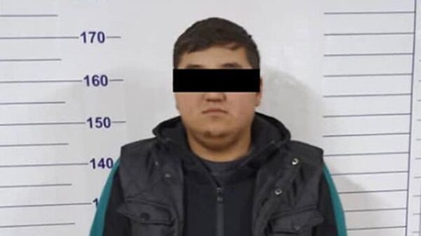 Задержание подозреваемого в мошенничестве в Джалал-Абадской области  - Sputnik Кыргызстан