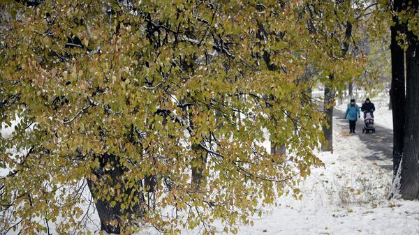 Люди гуляют в парке во время снегопада  - Sputnik Кыргызстан