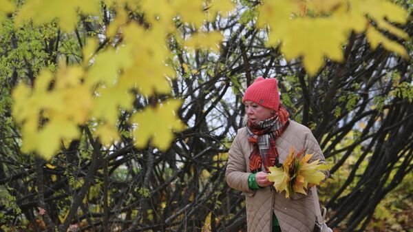 Женщина собирает кленовые листья в парке. Архивное фото - Sputnik Кыргызстан