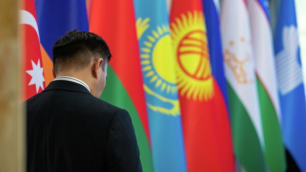 Мужчина на фоне флагов стран участниц СНГ в Бишкеке - Sputnik Кыргызстан