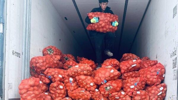 Поставка картофеля из Кыргызстан в Узбекистан - Sputnik Кыргызстан