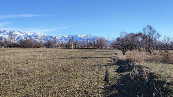 Возвращение государству 115 гектаров земельных участков в Иссык-Кульской области - Sputnik Кыргызстан