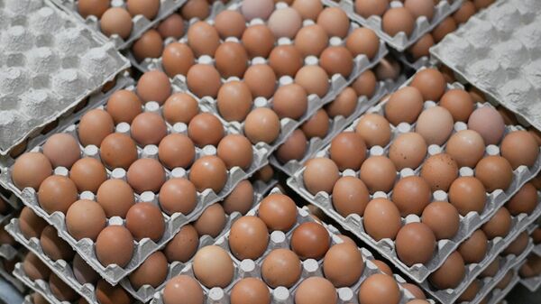 Производство куриных яиц  Архивное фото  - Sputnik Кыргызстан