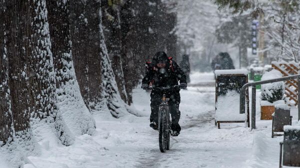 Мужчина едет на велосипеде во время снегопада в Бишкеке. Архивное фото  - Sputnik Кыргызстан