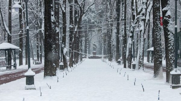 Бишкек. Кыш - Sputnik Кыргызстан