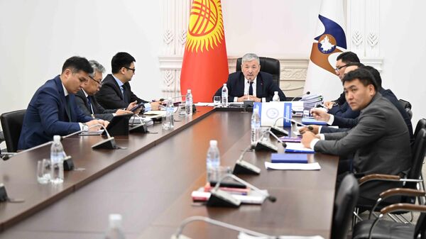 Первое заседание Евразийской перестраховочной компании в режиме видеоконференцсвязи - Sputnik Кыргызстан