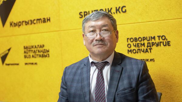 Жаратылыш ресурстары, экология жана техникалык көзөмөл министринин орун басары Кубат Касеинов - Sputnik Кыргызстан