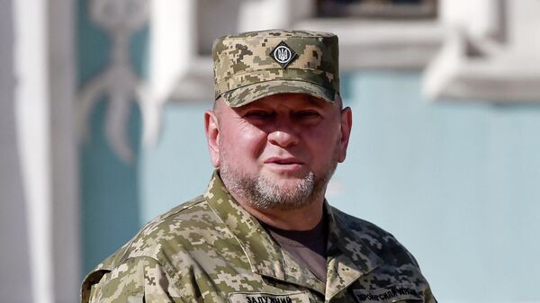 Главнокомандующий Вооруженными Силами Украины Валерий Залужный. Архивное фото - Sputnik Кыргызстан