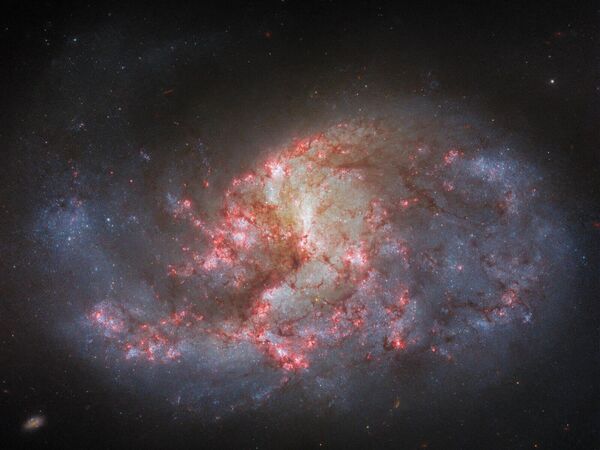 Спиральная галактика NGC 1385 - Sputnik Кыргызстан