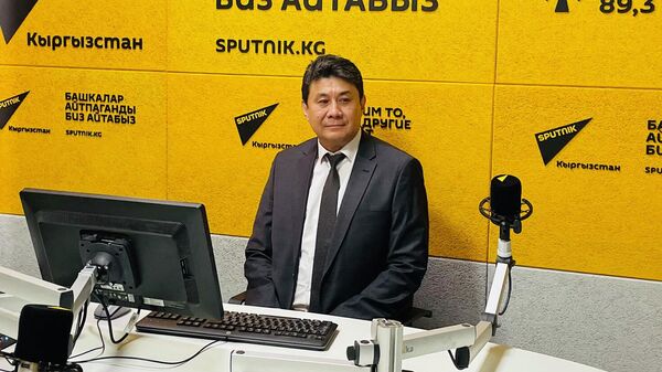 Директор отдела реализации проекта при Министерстве цифрового развития Казбек Тоголоков - Sputnik Кыргызстан