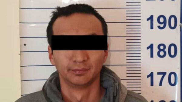Задержание мужчины по подозрению в убийстве в Нарыне  - Sputnik Кыргызстан