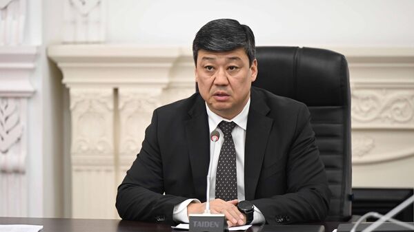 Министрлер кабинетинин төрагасынын орун басары, суу ресурстары, айыл чарба жана кайра иштетүү өнөр жай министри Бакыт Төрөбаев - Sputnik Кыргызстан