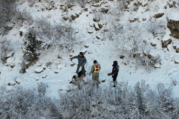 Как сообщается, количество спасателей для поисков 27-летнего Мухамбеталы Маматаалы уулу увеличено - Sputnik Кыргызстан
