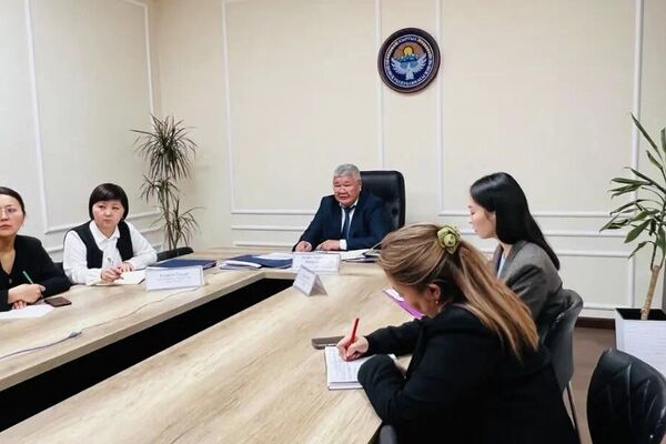 Минэнерго Кыргызстана сотрудничает с японской компанией Metarize Japan в области получения гравитационной энергии в рамках использования альтернативных источников электричества - Sputnik Кыргызстан