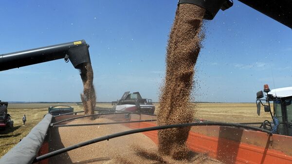 Уборка урожая пшеницы. Архивное фото - Sputnik Кыргызстан