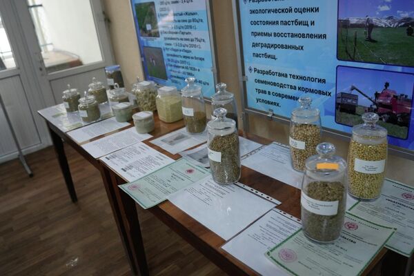 Акимам, техникам и фермерам поручено организовать специальные учебные семинары - Sputnik Кыргызстан