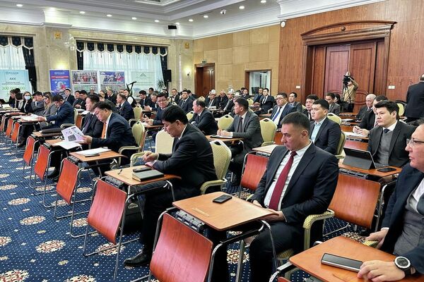 Участникам встречи рассказали о продуктах, программах, возможностях фонда и технической помощи, которую он готов предоставлять при разработке бизнес-проектов - Sputnik Кыргызстан