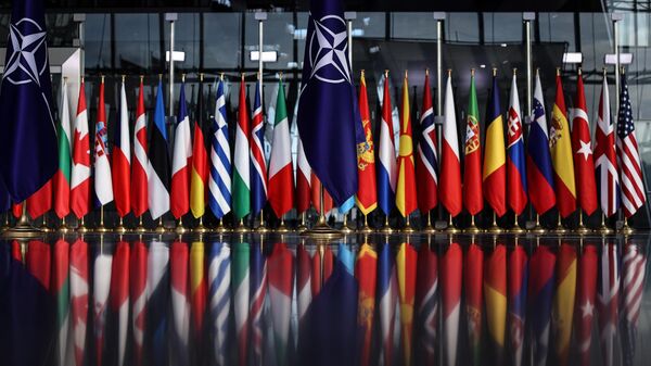 Флаги стран Организации Североатлантического договора (НАТО)  - Sputnik Кыргызстан