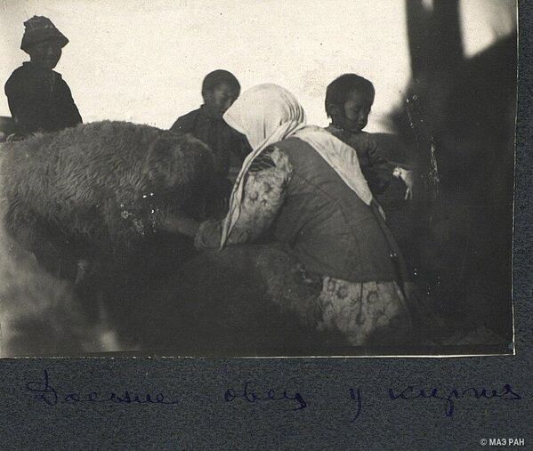 Кыйын күндөрдөн бир элес. Келин кой саап уулдарынын курсагын тойгузууга аракет кылууда. 1928-жыл - Sputnik Кыргызстан