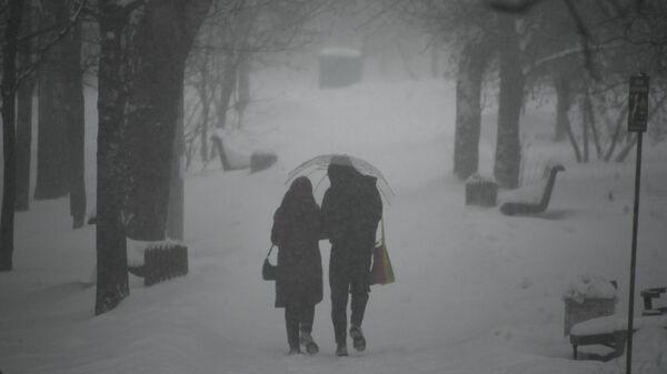 Семейная пара идет по скверу во время сильного снегопада - Sputnik Кыргызстан