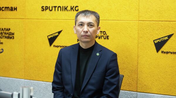 Мамлекеттик салык кызматынын төрагасынын орун басары Адилет Дубанаев - Sputnik Кыргызстан