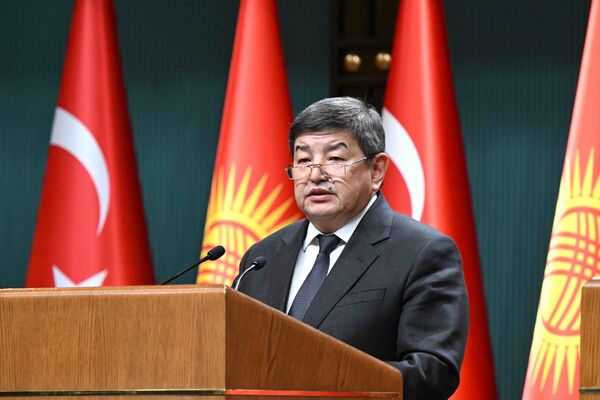 В повестку дня были включены вопросы сотрудничества в областях экономики, инвестиций, энергетики, промышленности, сельского хозяйства, транспорта, туризма, здравоохранения, культуры, образования и так далее - Sputnik Кыргызстан