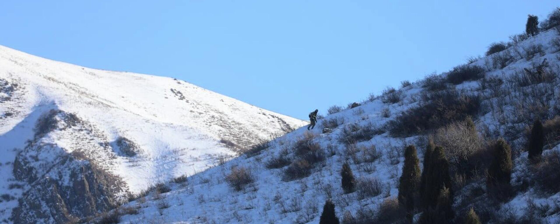 Кыргызстандын тоолору. Архив - Sputnik Кыргызстан, 1920, 15.03.2026