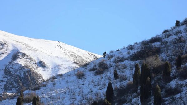 Спасатели МЧС. Архив - Sputnik Кыргызстан