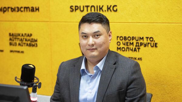 Мамлекеттик-жеке өнөктөштүк борборунун улук эксперти Эрденет Касымов - Sputnik Кыргызстан