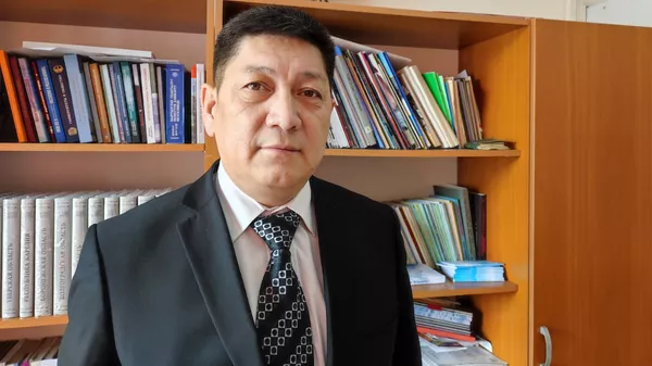 Директор института истории и регионоведения КНУ Турат Сырдырбаев  - Sputnik Кыргызстан