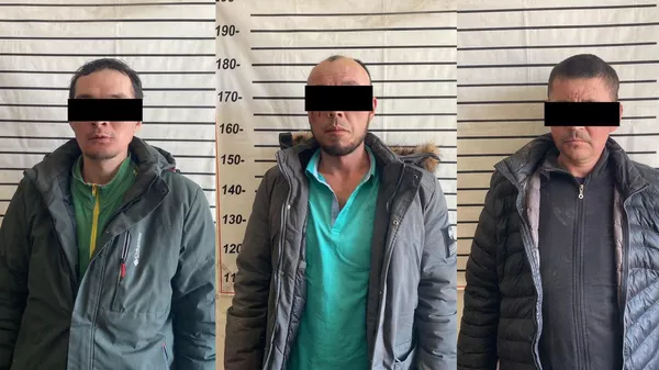 Задержание подозреваемых в убийстве в Токтогуле - Sputnik Кыргызстан