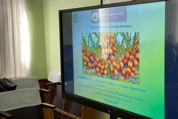 Форум по выращиванию, реализации и экспорту облепихи в Ат-Башинском районе  - Sputnik Кыргызстан