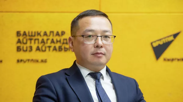 Экономика жана коммерция министрлигинин ЕАЭБди координациялоо боюнча башкармалыгынын башчысы Назарбек Малаев - Sputnik Кыргызстан
