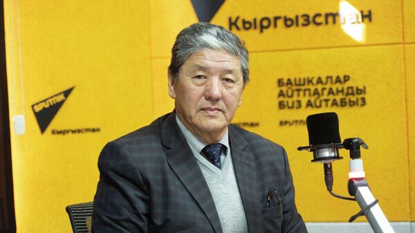 Балдар жазуучусу, педагогика илимдеринин доктору, профессор Сулайман Рысбаев - Sputnik Кыргызстан