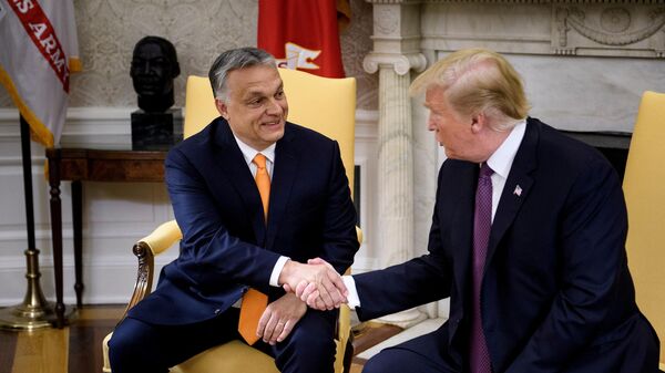 АКШнын мурдагы президенти Дональд Трамп Венгриянын премьер-министри Виктор Орбан менен жолугушуусу учурунда. Архивдик сүрөт - Sputnik Кыргызстан