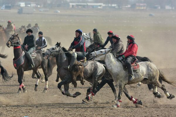 На кону были денежные призы и верблюд - Sputnik Кыргызстан